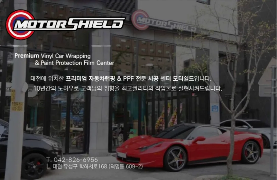 포르쉐 911 랩핑, 블루핑크 카멜레온 비용과 선택 기준