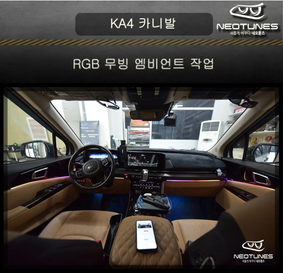 카니발 엠비언트 라이트, 잘못 고르면 후회하는 이유