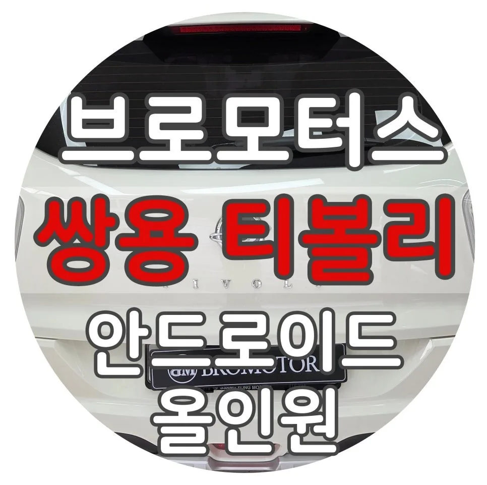 티볼리 안드로이드 올인원, 비용 결정 기준은?