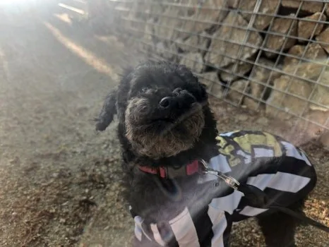 미니 쿠퍼 안드로이드 올인원, 이것만 알면 후회 없어요