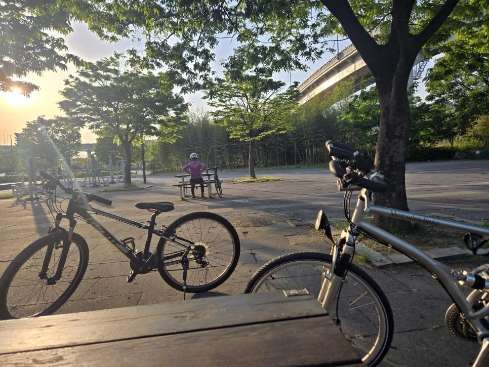아우디 A6 안드로이드 올인원, 잘못 고르면 재시공 비용 2배