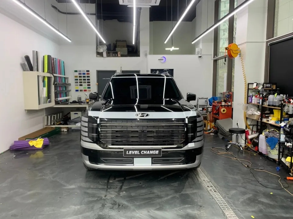 Hyundai Palisade Chrome Delete Review — All-Black Transformation photo 1