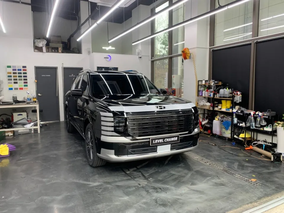 Hyundai Palisade Chrome Delete Review — All-Black Transformation photo 2