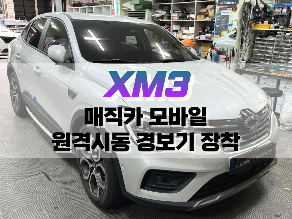 Renault XM3 Remote Start Installation Review