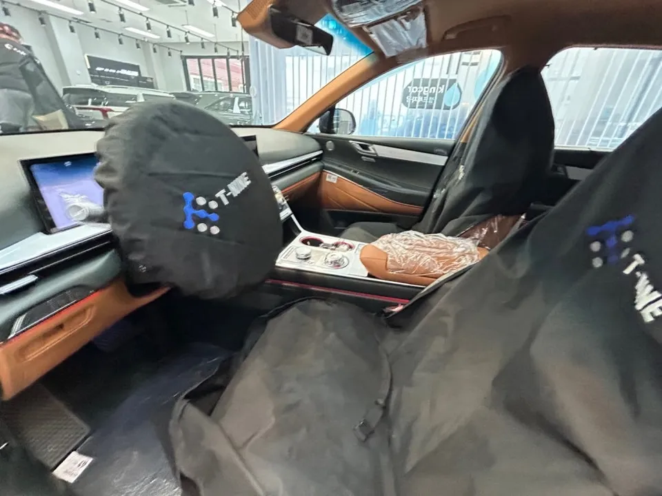 Genesis GV80 new car package - Genesis GV80 New Car Package Review — Premium Protection photo 4