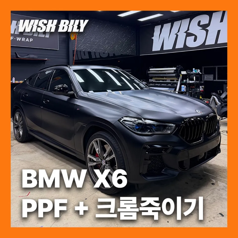 BMW X6 ppf review