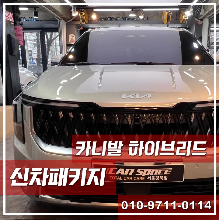 Kia Carnival Hybrid new car package installation result