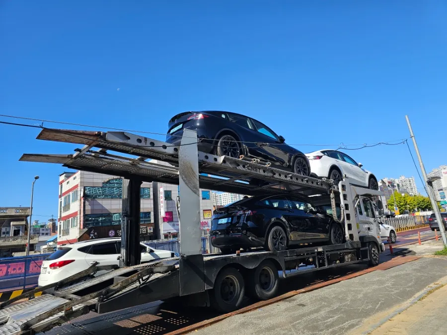 Tesla Model Yのカーフィルム施工事例｜費用目安・仕上がり 施工写真 1-1