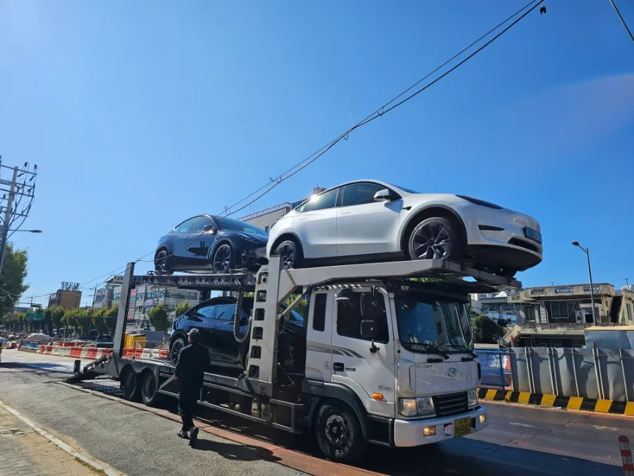 Tesla Model Yのカーフィルム施工事例｜費用目安・仕上がり 施工写真 2-1