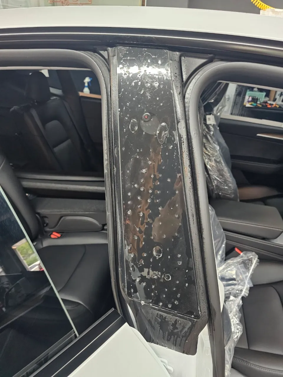 Tesla Model Y New Car Protection Package Review photo 18