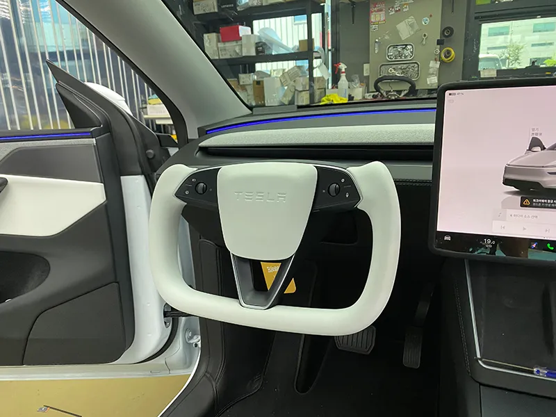Tesla Model Y Juniper steering wheel - Tesla Model Y Juniper Steering Wheel Customization Review photo 3