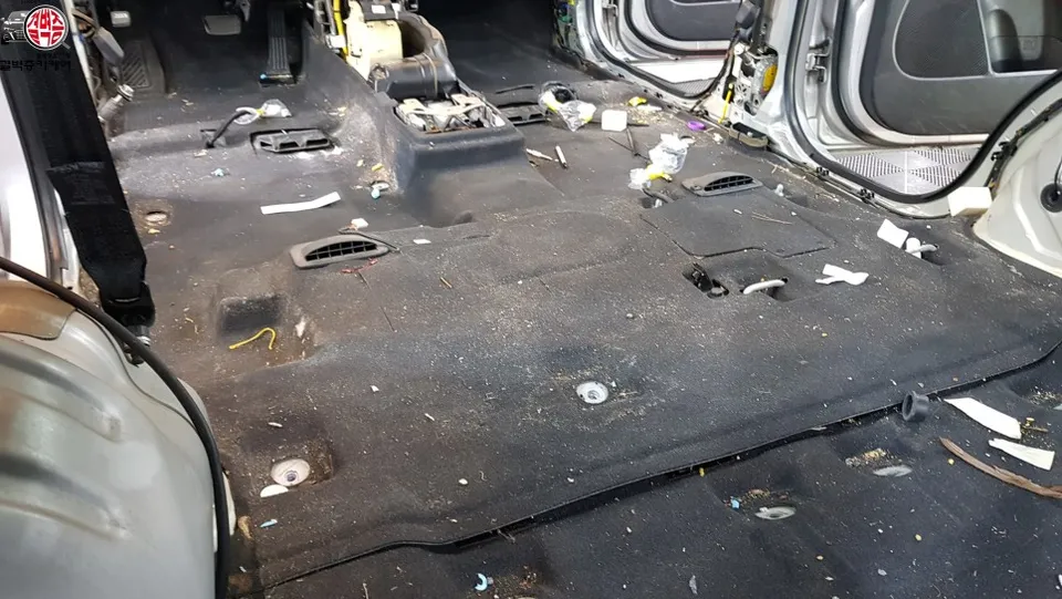 Kia Sorento paint correction - Kia Sorento Paint Correction Review — Under $400 photo 4