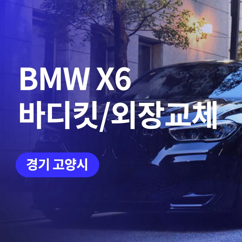BMW X6M F96 body kit review