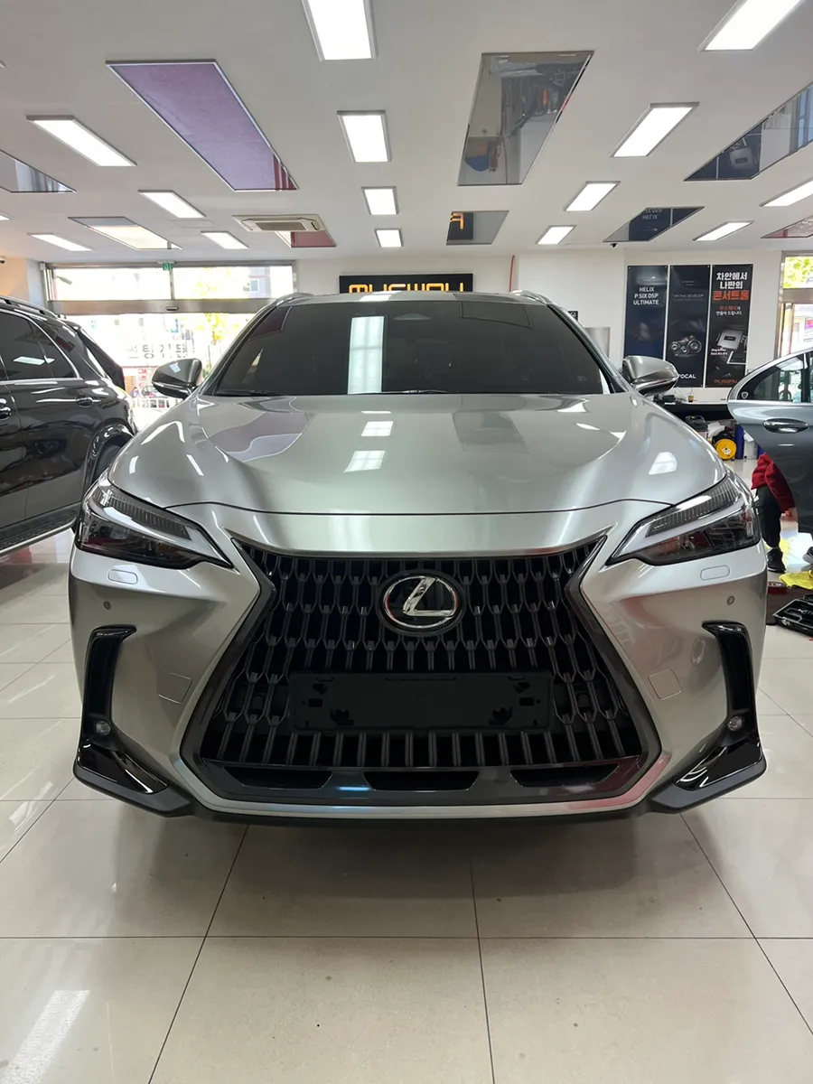 Lexus NX Surround View Camera Installation Review