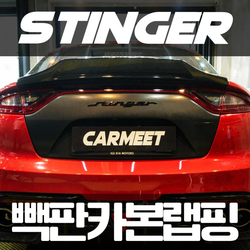 Kia Stinger vinyl wrap installation result