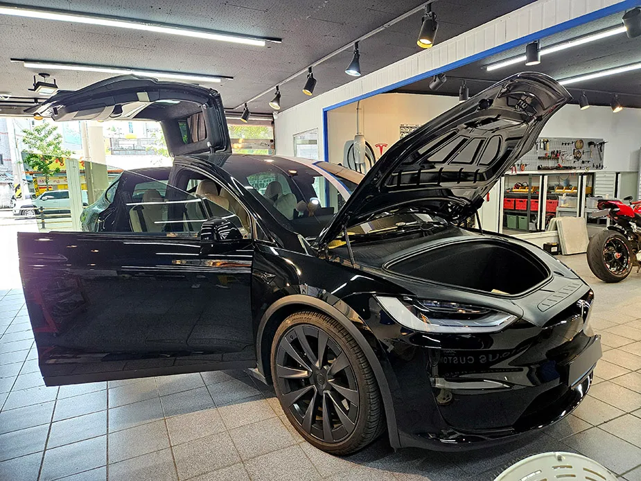 Tesla Model X Ambient Lighting Review — Enhanced Interior