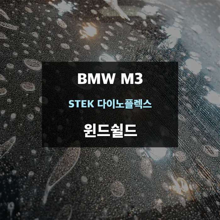 BMW M3 PPF Review: Track Ready Windshield Protection