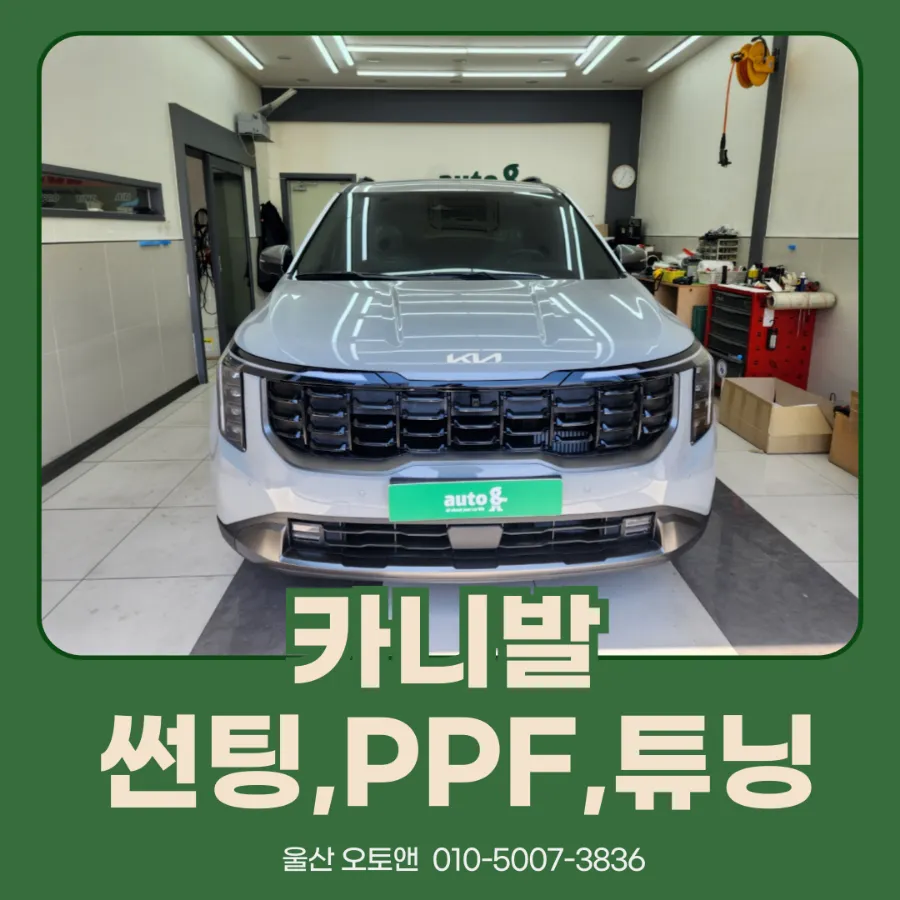 Kia Carnival KA4 new car package installation result