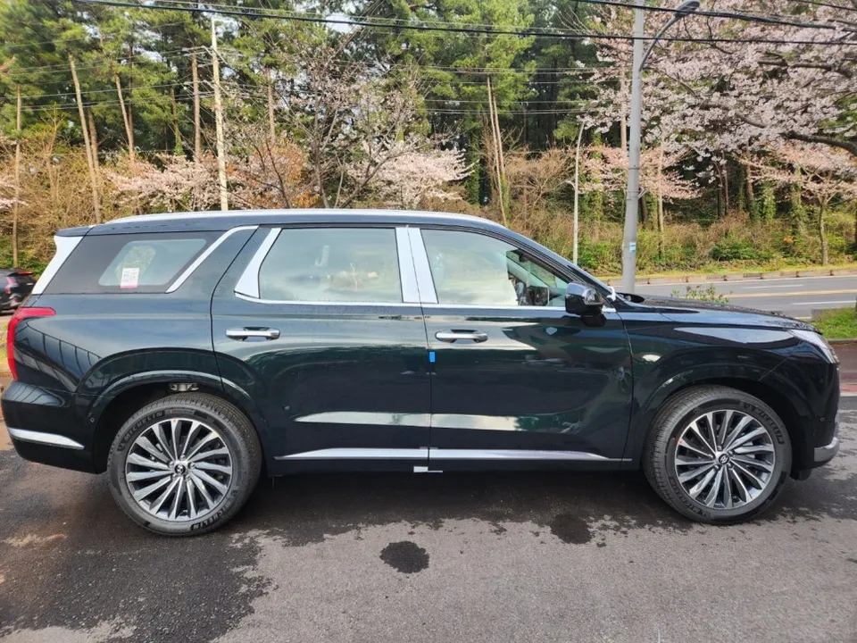 Hyundai Palisade PPF施工事例|費用目安と仕上がり 施工写真 2-2