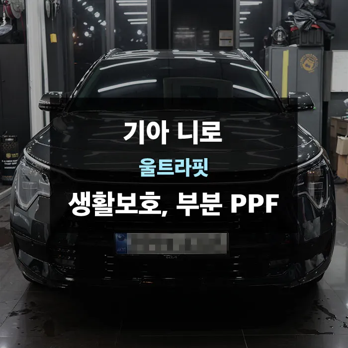 Kia NiroのPPF施工事例 写真