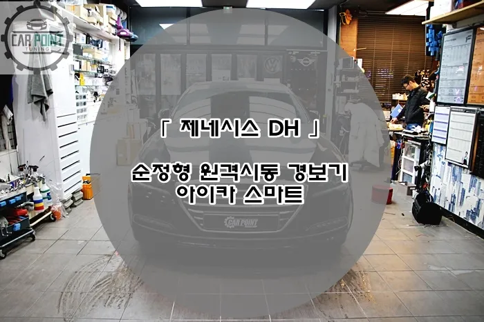 Genesis DH oem options installation result