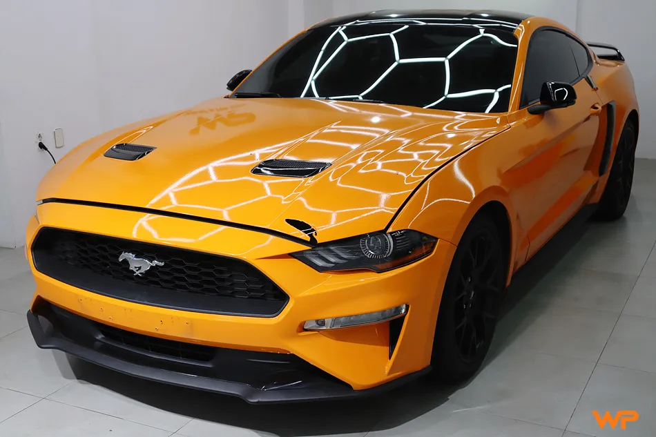 Ford MustangのPPF施工事例｜費用目安と仕上がり 施工写真 2-1