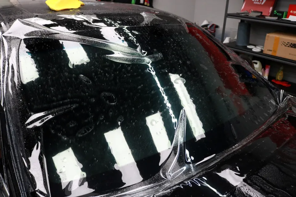 Genesis G90 PPF Review: Rock Chip Protection photo 1