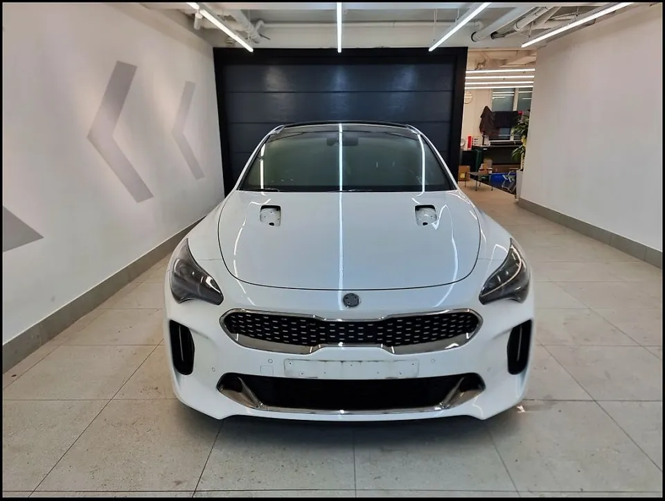 Kia Stinger vinyl wrap - Kia Stinger Vinyl Wrap Review — 3M Black Rose Color Change photo 5