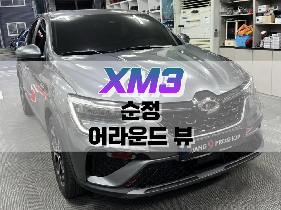 Renault Korea XM3 Surround View Camera Review