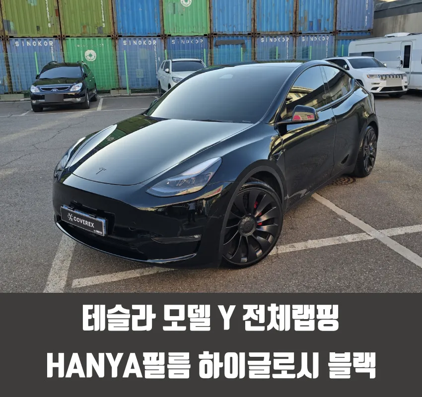 Tesla Model Y Vinyl Wrap Review: High Glossy Black Transformation