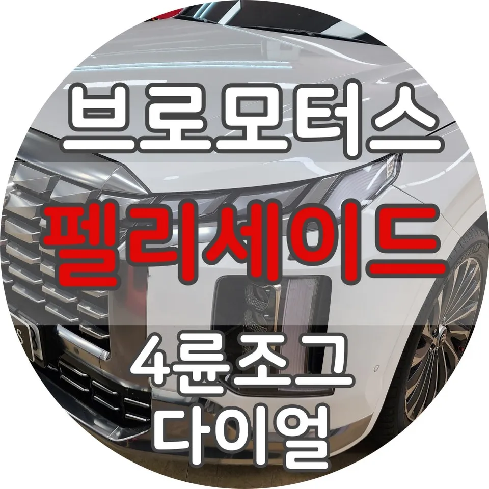 Kia Palisade oem options installation result