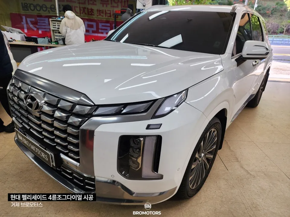 Kia Palisade OEM Options Retrofit Review photo 2