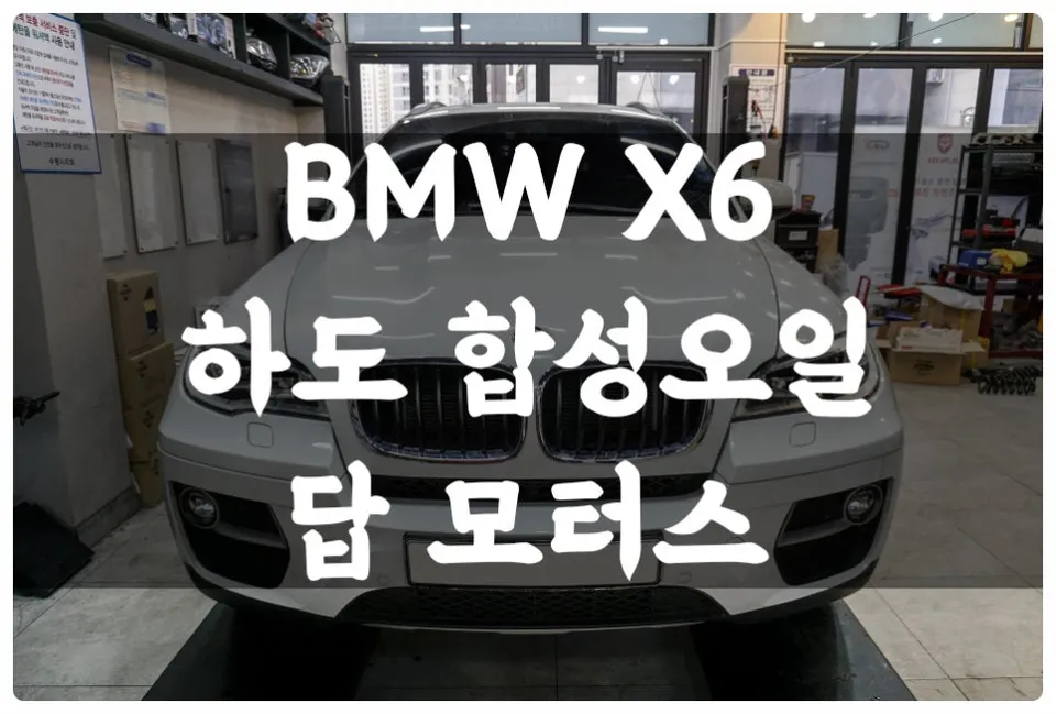 BMW X6 Paint Protection Film Review: Cost & Results photo 1