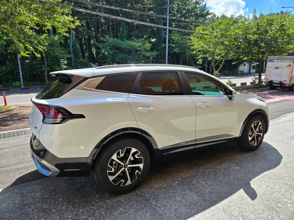 Kia Sportage ppf - Kia Sportage PPF Review: Cost & Rock Chip Protection photo 3