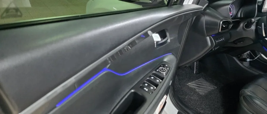 Hyundai Santa Fe TM ambient lighting - Hyundai Santa Fe TM Ambient Lighting Review — Cost & Results photo 6