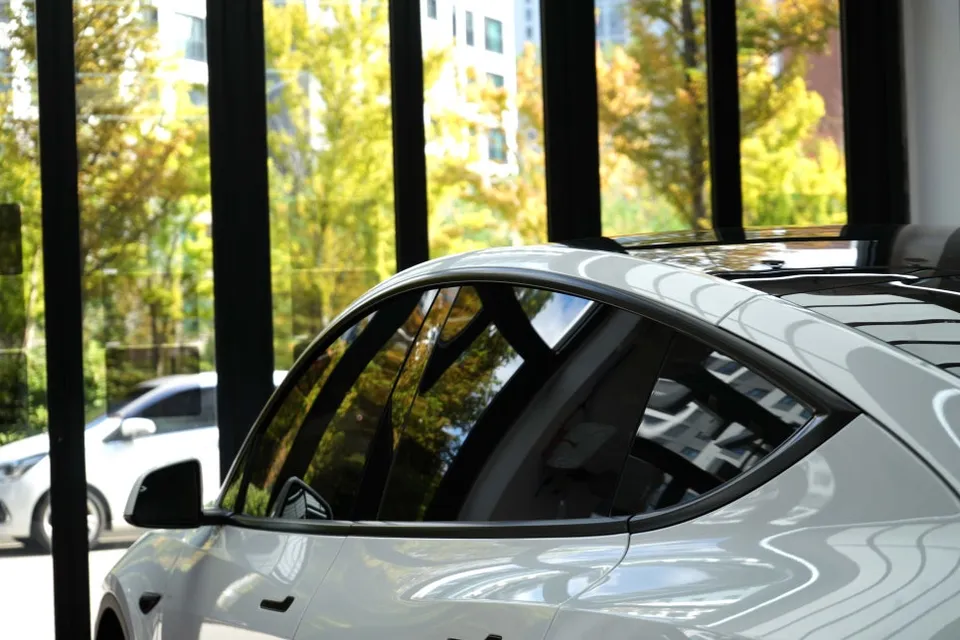 Tesla Model Y steering wheel - Tesla Model Y Steering Wheel Customization Review photo 3