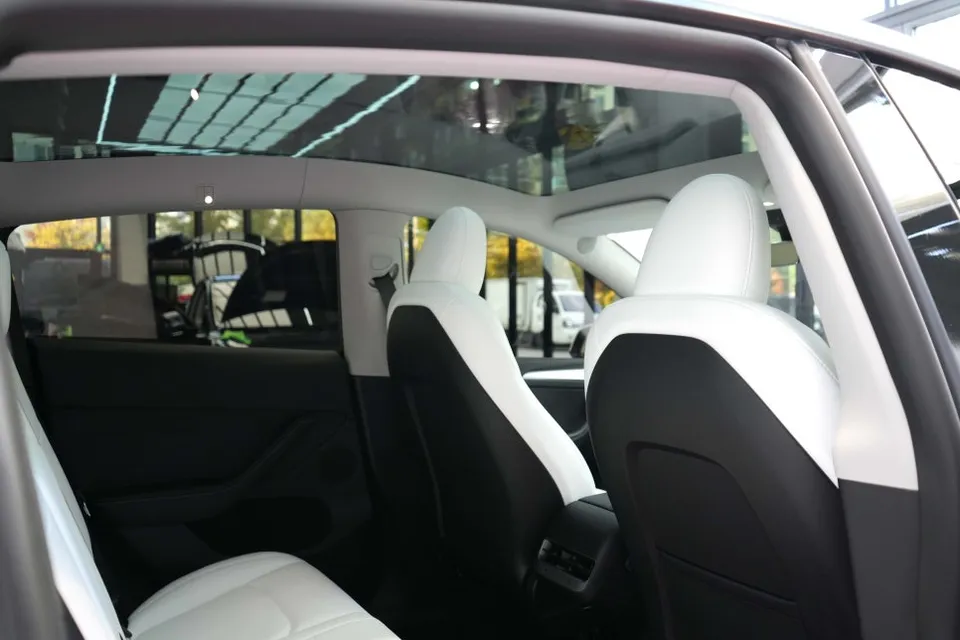 Tesla Model Y steering wheel - Tesla Model Y Steering Wheel Customization Review photo 4