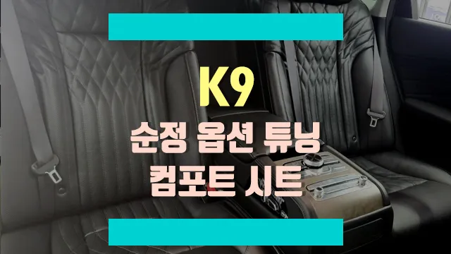 Kia K900 Seat Ventilation & Heating Upgrade Review