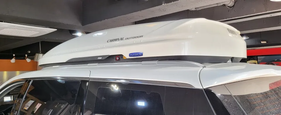 Kia Carnival ambient lighting - Kia Carnival Ambient Lighting Review — Cost & Results photo 2