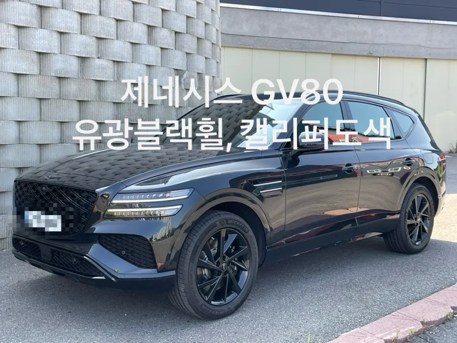 Genesis GV80 Gloss Black Powder Coating Wheel Repair Review