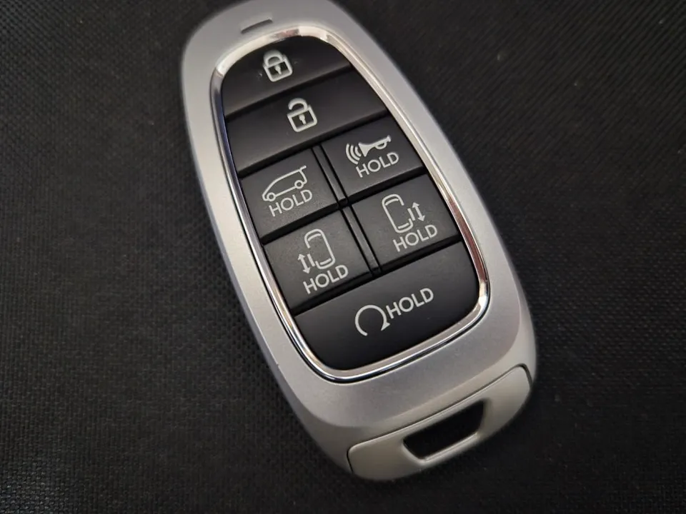 Kia Palisade oem options review