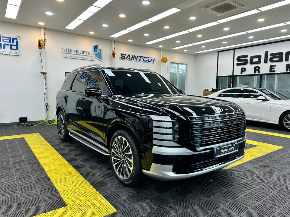 Hyundai Palisade New Car Package Review: Cost & Results photo 2