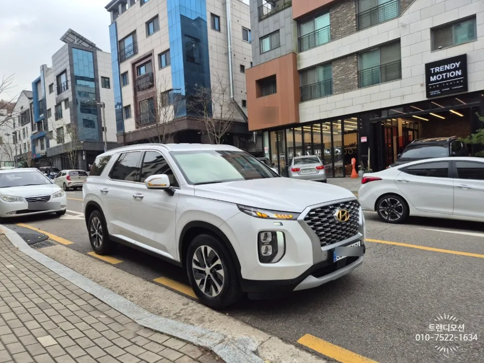 Hyundai Palisade OEM Options Review: Cost & Results photo 2