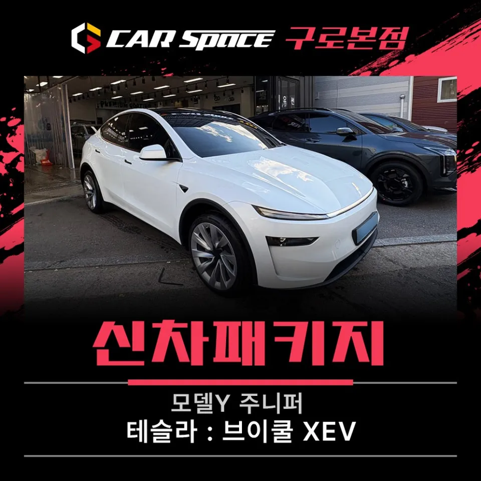 Tesla Model Y New Car Protection Package Review