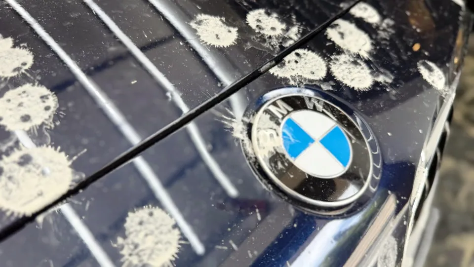 BMW 3 Seriesのガラスコーティング事例 施工写真 1-1