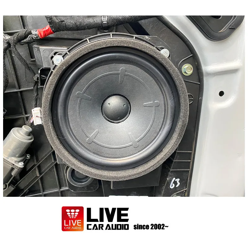 Kia Carnival Hi-Limousine car audio - Kia Carnival Hi-Limousine Car Audio Installation Review — Cost photo 5