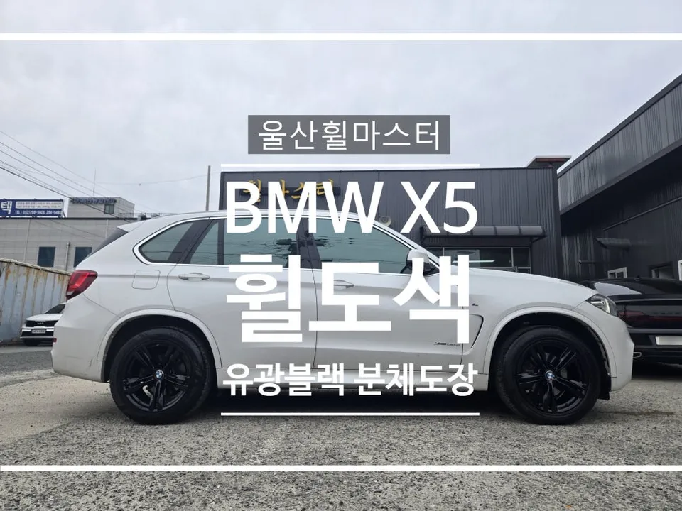 BMW X5 Wheel Repair Review: Gloss Black Refinish