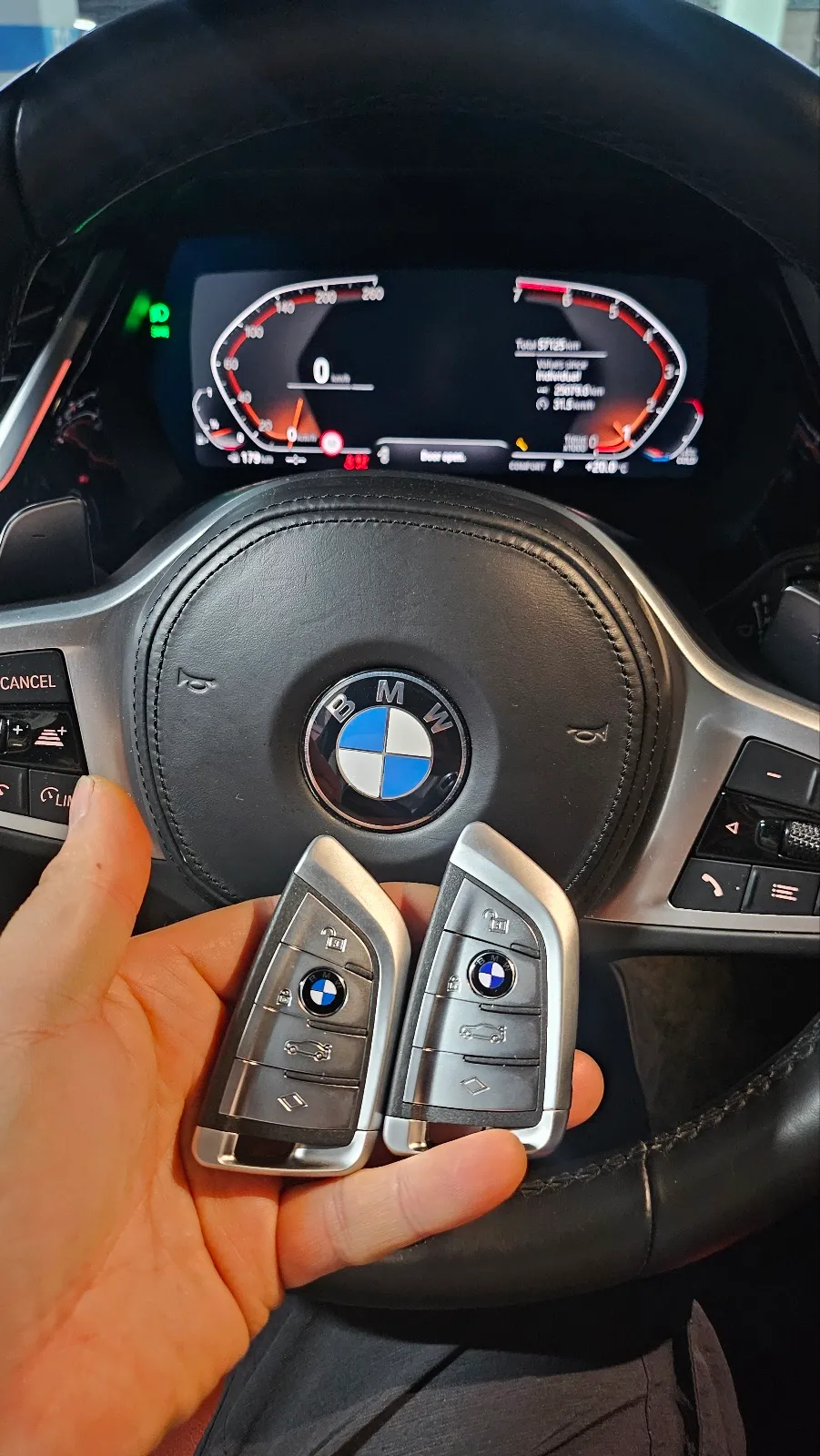 BMW Z4 oem options installation result