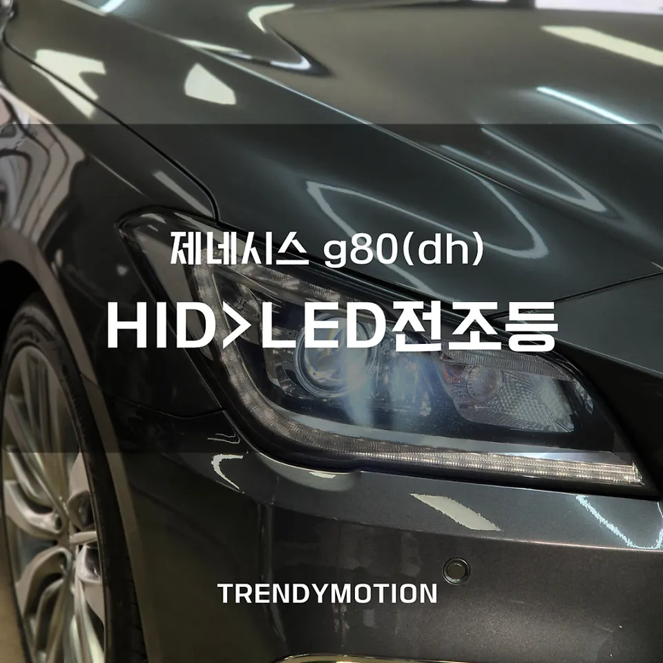 Genesis G80 DH Lighting Upgrade Review: Cost & Results