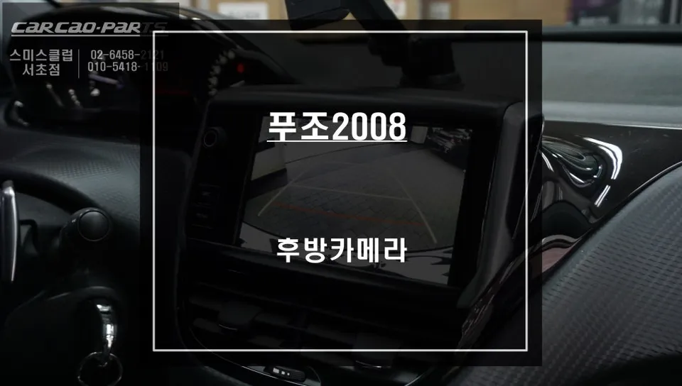 Peugeot 2008 oem options installation result